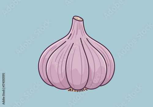 Illustration of a single garlic bulb with purple skin and detailed segments.