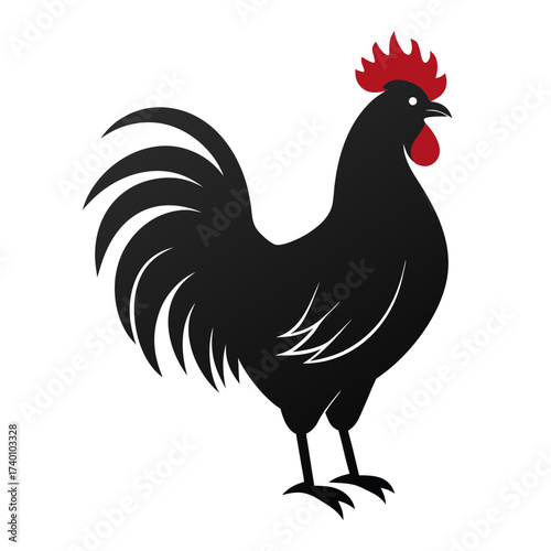 Illustration of a black rooster with a red comb and wattle standing on a white background design art
