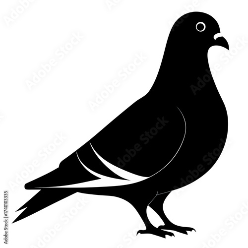 Silhouette of a pigeon standing with detailed feathers and beak in a side view on a white background