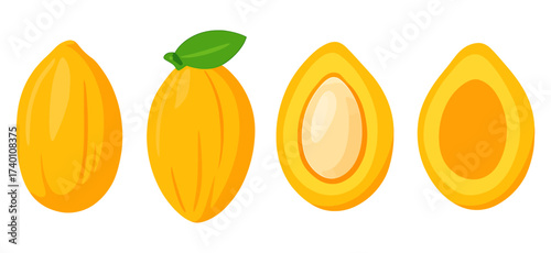 Delicious Yellow Fruits Whole and Cut Vector Illustration