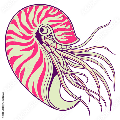 A stylized nautilus shell dominates the frame, its spiral form defined by alternating bands of pale yellow and vibrant pink. The creature's tentacles, rendered in beige with purple outlines, extend gr