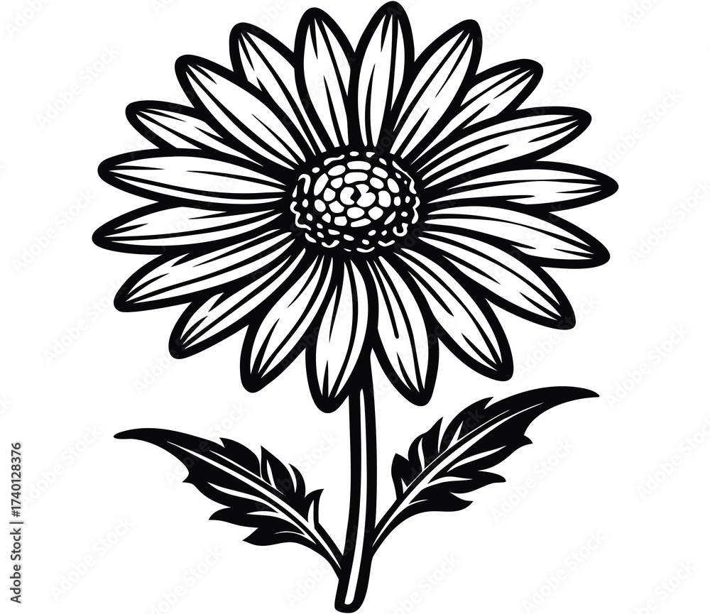 Fototapeta premium Radiant Daisy Blossom A Detailed Outline of a Blooming Flower on a Stem