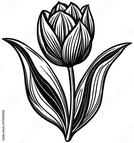 Vintage vector floral illustration with a black and white tulip blossom and leaf drawing for a seamless spring pattern design