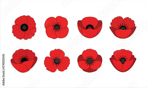 Red poppy flowers collection with transparent background