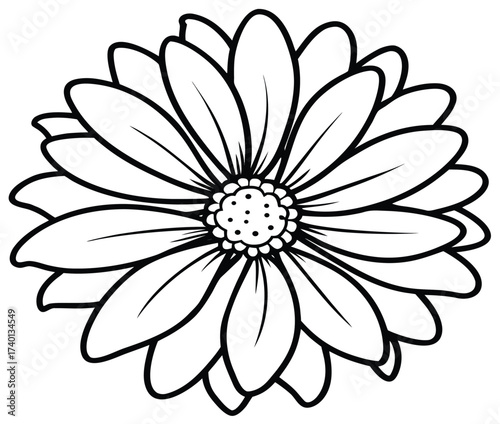 White dahlia flower head with yellow center, isolated macro closeup bloom on black background