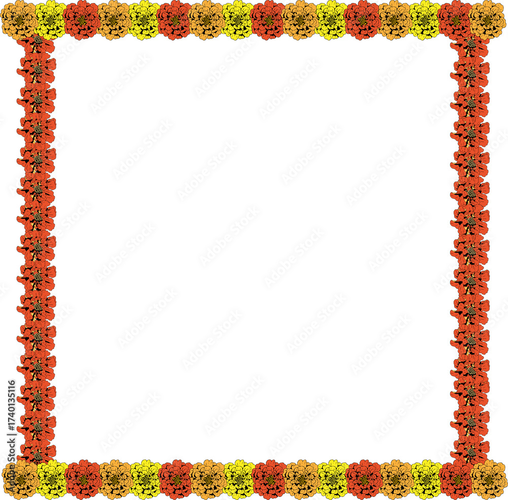 Obraz premium Marigold flower frame