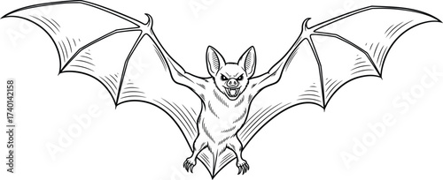 Cartoon bat with open wings in black and white outline