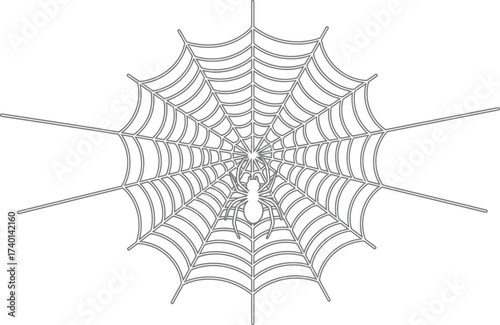 Spider web with spider in black and white illustration