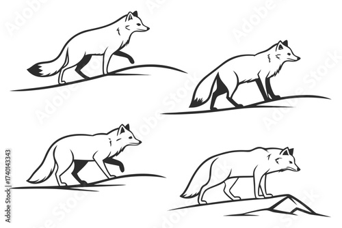 Minimalist arctic fox in snow icon set
