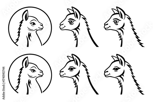 Minimalist baby alpaca portrait icon set