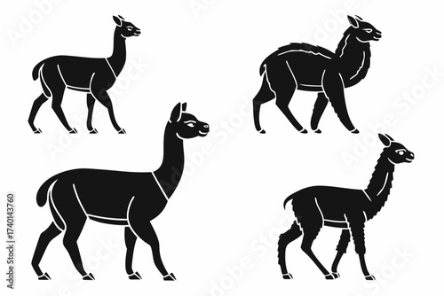 Minimalist baby alpaca portrait icon set