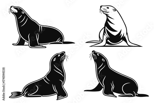 Minimalist sea lion icons set with nautical elements