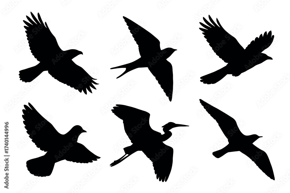 Obraz premium Flying birds silhouette icon set. Vector black symbols of wings, animals, and wildlife glyph illustrations