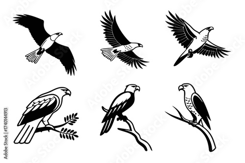 Brahminy kite minimalist icon set
