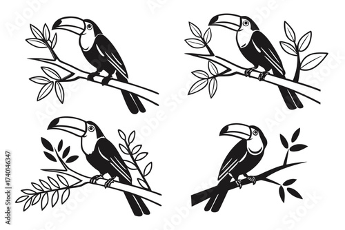 Minimalist channel billed toucan icon set