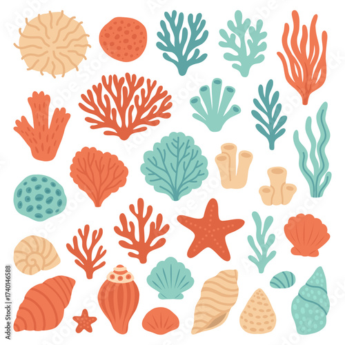 Vector set of colorful corals seashells and starfish with ocean elements and marine decorations. Collection of underwater sea life illustrations in bright seasonal style