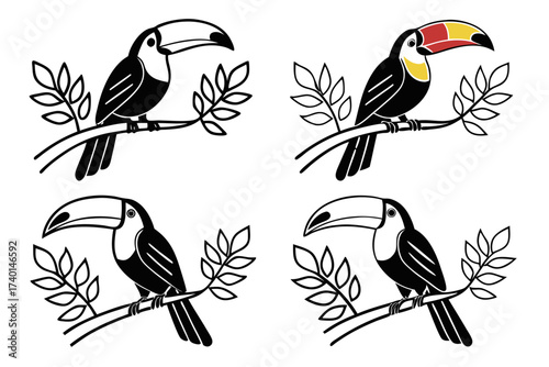 Minimalist colorful toucan icon set