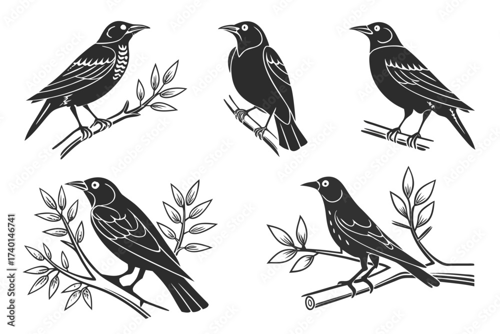 Fototapeta premium Eight minimalist starling icons for design projects