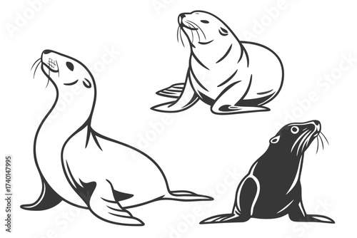 Cute seal pup minimalist icon set