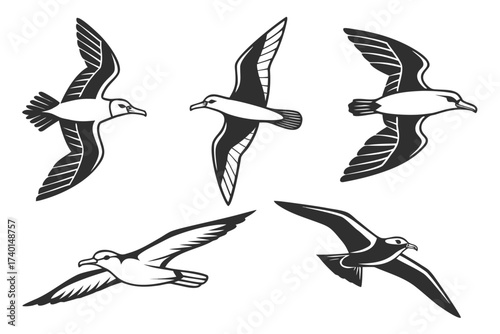 Minimalist diving petrel icon set in black and yellow