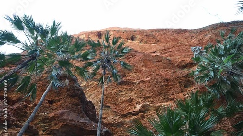 Purnululu National Park with Bungle Bungle Range.
