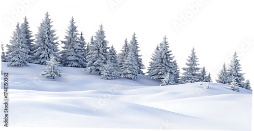 Snow covered pine forest isolated on a transparent background