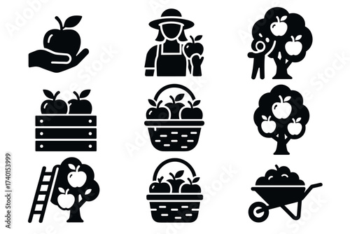 Apple harvest and orchard icon set. Vector black symbols of fruit picking and farming