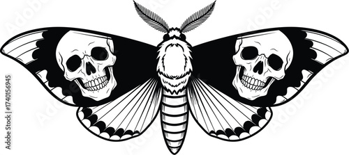Skull moth illustration with detailed wings and body art