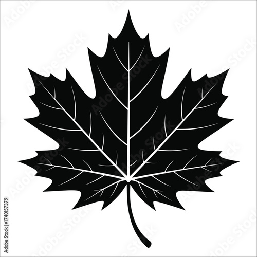 Iconic canadian maple leaf silhouette symbolizing autumn nature and national identity