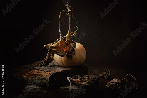 Pumpkin with dry vines and curled dead leaves placed on aged wooden blocks in dramatic lighting