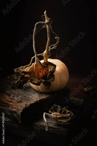 Beige pumpkin with dry vine and curled leaves on rustic wooden surface in dark moody setting