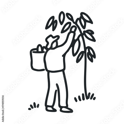 Caucasian male farmer harvesting leaves from tree in black and white line art