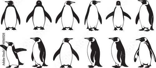 minimalist penguin character set ten poses black white vector illustrations perfect for kids decor