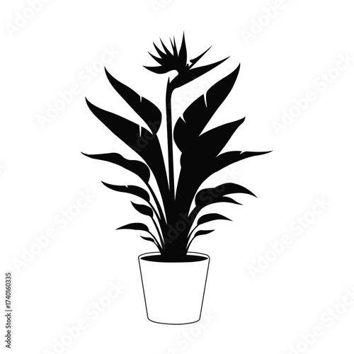 Vector illustration of vector art of bird of paradise flower in a pot