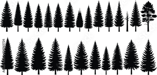 Pine tree silhouettes, evergreen forest collection, conifer nature shapes, fir spruce illustration, black woodland design, natural landscape element set vector