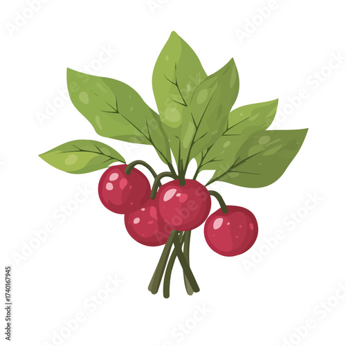 A Minimalistic 2D flat icon featuring a sorrel bunch set, clean vector design, simple illustration style, isolated on a white background, and modern element in vector and EPS format. simple icon