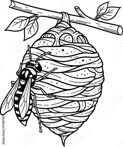 Wasp builds a nest hanging from a branch with green leaves