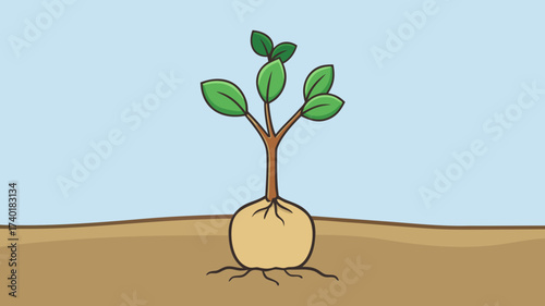 Young plant with roots emerging from soil under a blue sky  