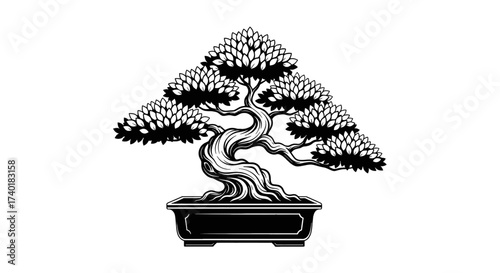 Elegant black and white bonsai tree art, a symbol of tranquility and nature's enduring beauty, perfect for serene design projects seeking timeless appeal and peaceful aesthetics.