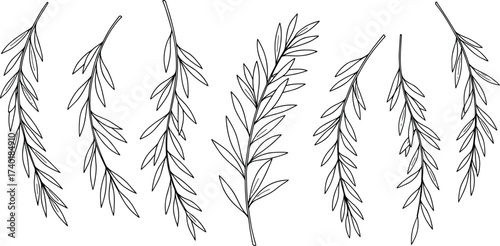 Eight Botanical Leaf Branch Line Art Illustrations for Nature Design, Plant Identification, Minimal Decor, and Elegant Floral Graphics