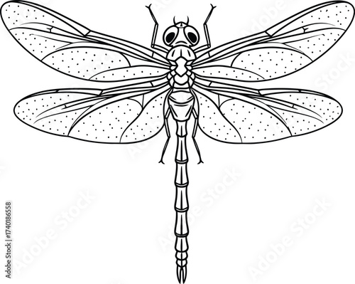 Detailed line art illustration of a dragonfly insect