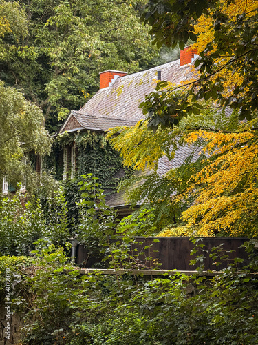 Ivy Covered House In Autumn