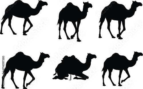 Camel silhouettes, desert animal vector, walking camel, sitting camel, caravan illustration, wildlife outline, Middle East art, transportation symbol, nomadic culture