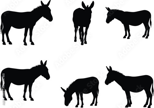 Donkey silhouettes, farm animal vector, standing donkey, walking donkey, grazing donkey, livestock outline, rural transport, working mule, agriculture art, wildlife illustration