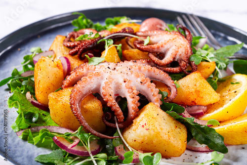 Grilled octopus dish, with baked potatoes, and fresh herbs, on a marble table, homemade, no people