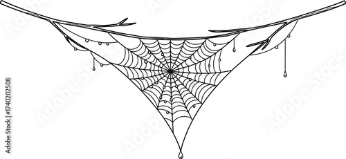 Spiderweb hangs from a branch with water droplets design