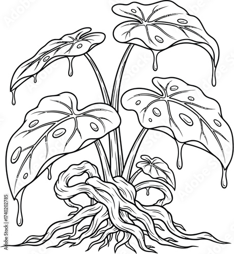 Cartoon taro plant with large leaves and visible roots