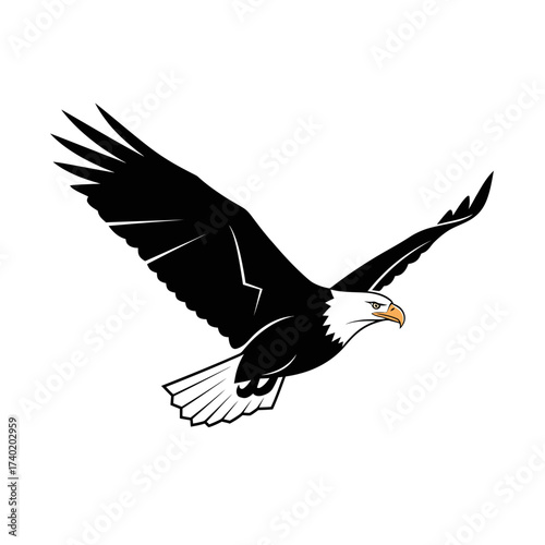Majestic Eagle in Flight Vector Illustration for Wildlife and Freedom