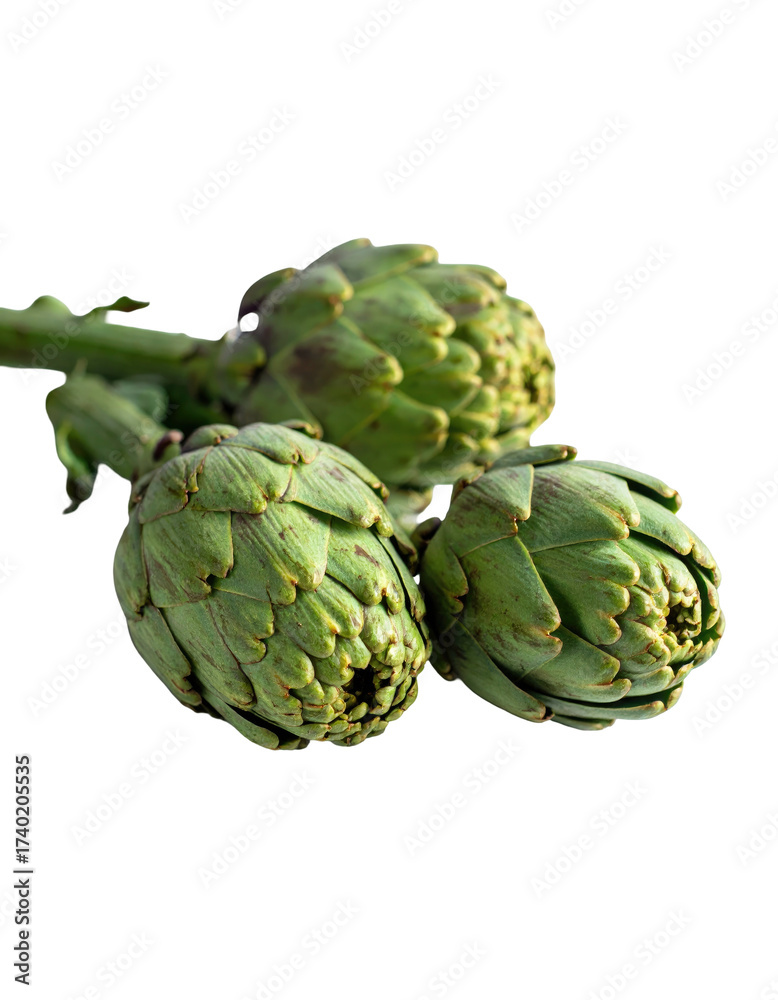 Obraz premium Fresh artichokes, three heads clustered, light green, on stems