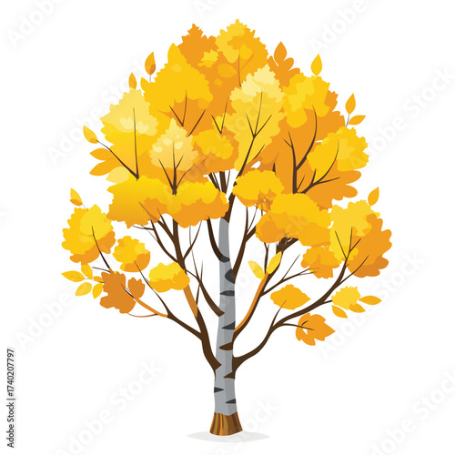Quaking aspen in autumn, with brilliant golden-yellow leaves that "quake" or flutter in the slightest breeze, a symbol of high-altitude fall.